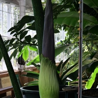 Photo de belgique - Le jardin botanique de Meise